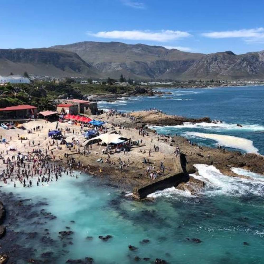 Hermanus